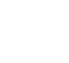logo-petit